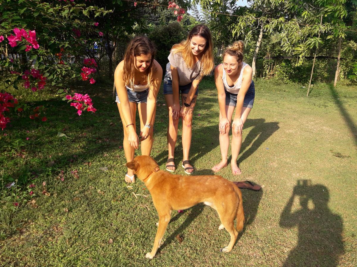 Colonial Surfing Villa Hostel & Home Stay Midigama East Dış mekan fotoğraf