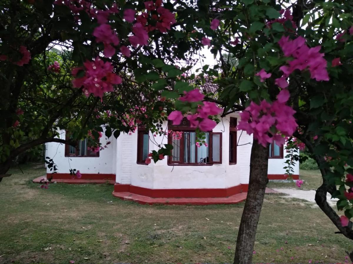 Colonial Surfing Villa Hostel & Home Stay Midigama East Dış mekan fotoğraf